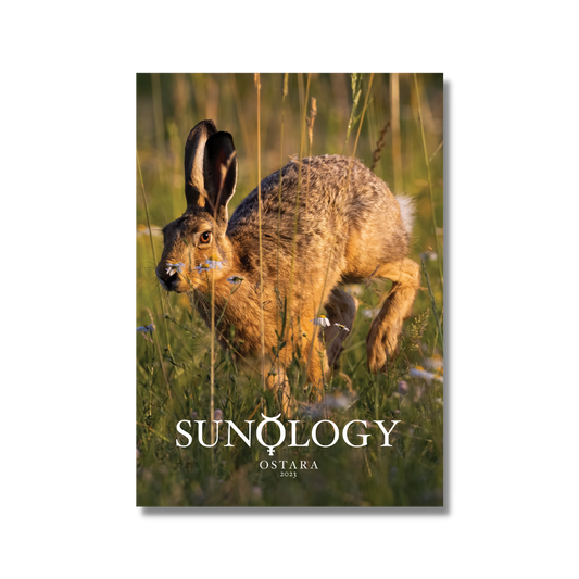 Sunology: Ostara 2023